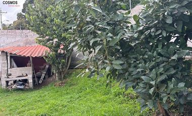 Casa de venta en Ibarra sector San José de Chorlavi