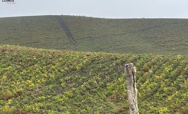 Hacienda de venta en Otavalo sector Mojandita de Curubi, 87 hectáreas