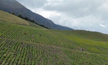 Hacienda de venta en Otavalo sector Mojandita de Curubi, 87 hectáreas