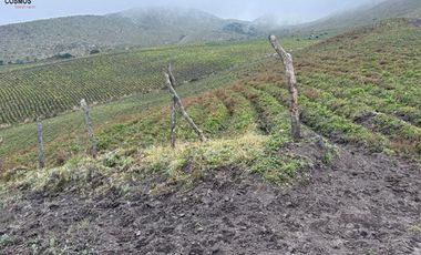 Hacienda de venta en Otavalo sector Mojandita de Curubi, 87 hectáreas