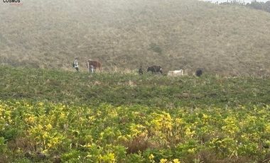 Hacienda de venta en Otavalo sector Mojandita de Curubi, 87 hectáreas