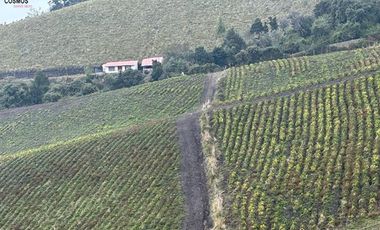 Hacienda de venta en Otavalo sector Mojandita de Curubi, 87 hectáreas