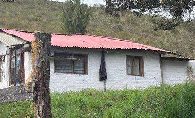 Hacienda de venta en Otavalo sector Mojandita de Curubi, 87 hectáreas