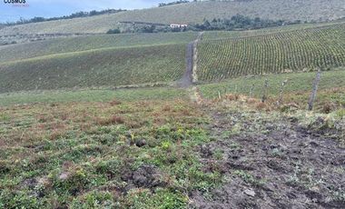 Hacienda de venta en Otavalo sector Mojandita de Curubi, 87 hectáreas