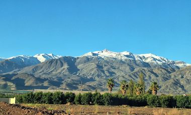 TERRENO EN VENTA – PARCELA 5.000 m²