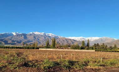 TERRENO EN VENTA – PARCELA 5.000 m²