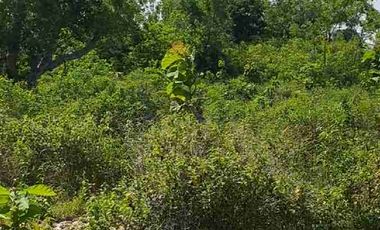 tanah kavlingan view laut dan samudra