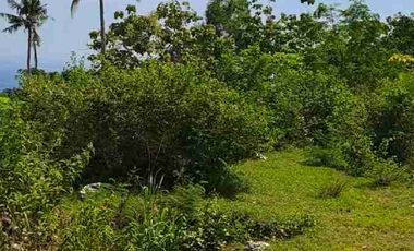 tanah kavlingan view laut dan samudra