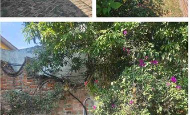 Rento Suite para   pareja o persona sola