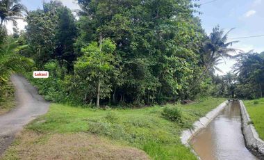 Tanah asri dekat irigasi cocok untuk hunian maupun perkebunan