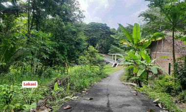 Tanah asri dekat irigasi cocok untuk hunian maupun perkebunan