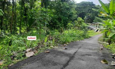 Tanah asri dekat irigasi cocok untuk hunian maupun perkebunan