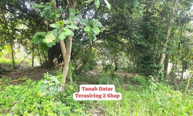 Tanah asri dekat irigasi cocok untuk hunian maupun perkebunan
