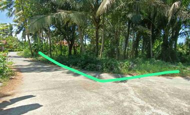Tana Murah dekat Bandara YIA cocok dibangun rumah dan investasi.