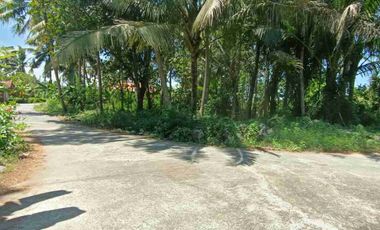 Tana Murah dekat Bandara YIA cocok dibangun rumah dan investasi.