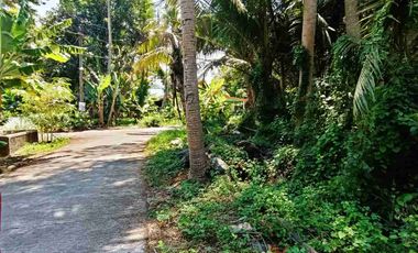 Tana Murah dekat Bandara YIA cocok dibangun rumah dan investasi.