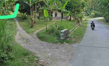 Dijual tanah nanggulan Cocok tuk investasi dan hunian.