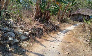Dijual tanah nanggulan Cocok tuk investasi dan hunian.