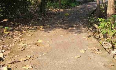 Tanah Murah 5 menit kota wates cocok dibangun kost.