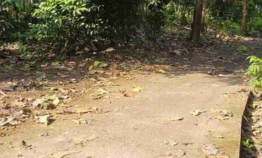 Tanah Murah 5 menit kota wates cocok dibangun kost.