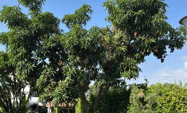 SE VENDE HERMOSA CASA EN CHINAUTA FUSAGASUGA.