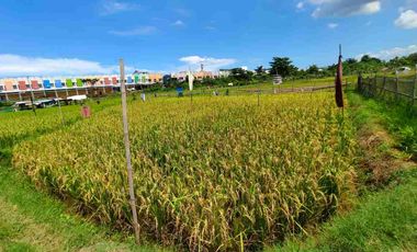 🏡 Tanah Strategis di Kawasan BTP – Makassar

Dijual tanah SHM dengan lokasi potensial di kawasan berkembang BTP. Berada depan Ruko Insignia Business Boulevard BTP dan hanya ± 1 km dari pusat BTP, menjadikan nilai lokasi semakin menarik.

📍 Detail Properti:
Jenis: Tanah
Luas: 358 m²
Sertifikat: SHM
Harga: Rp750.000 / meter (update 25/12/2025, sebelumnya Rp900.000/m)
Area sekitar ruko & kawasan komersial
💡 Potensi tinggi untuk gudang, rumah, atau investasi karena berada di area berkembang.