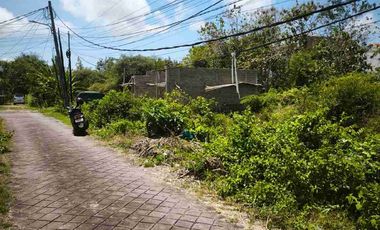 dijual tanah 1650m² IDR 500 juta per are dekat tol nusa dua Kuta Selatan Badung Bali