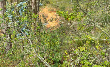 Terreno De Venta en La Josefina, Sector Pastopamba