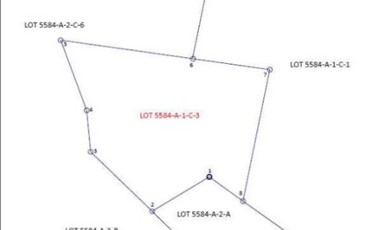 Foreclosed Property for sale in  SITIO SALLADAY BRGY. 40 BALATONG, LAOAG CITY, ILOCOS NORTE
