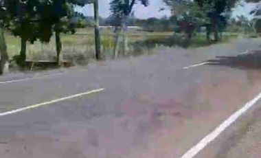 jual murah tanah jln dendeles purworejo