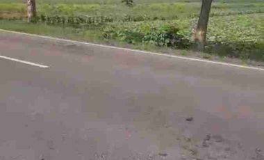 jual murah tanah jln dendeles purworejo