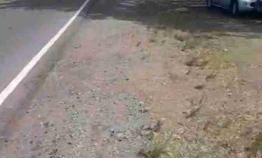 jual murah tanah jln dendeles purworejo