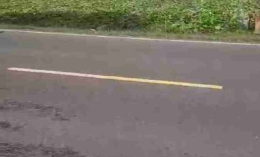 jual murah tanah jln dendeles purworejo