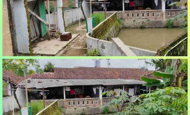 Rumah Murah Sekali Luas di Jalan Provinsi Banjarnegara Jawa Tengah