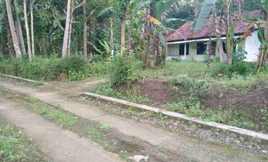 TANAH MURAH BONUS RUMAH