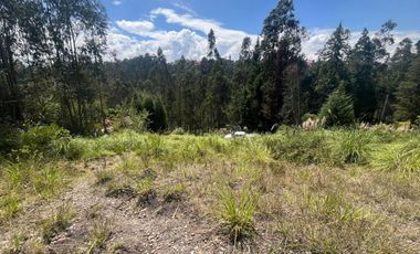 LOTES DE TERRENO EN VENTA SECTOR PUMAYUNGA BAJO - SININCAY