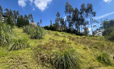 LOTES DE TERRENO EN VENTA SECTOR PUMAYUNGA BAJO - SININCAY
