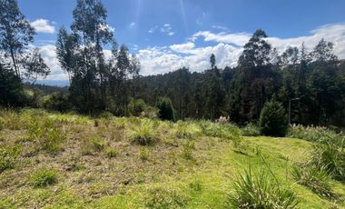 LOTES DE TERRENO EN VENTA SECTOR PUMAYUNGA BAJO - SININCAY