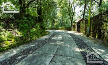 🌲 VENTA DE RESIDENCIA DE ENSUEÑO CON ENTORNO NATURAL EN MINERAL DEL CHICO.