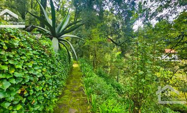 🌲 VENTA DE RESIDENCIA DE ENSUEÑO CON ENTORNO NATURAL EN MINERAL DEL CHICO.