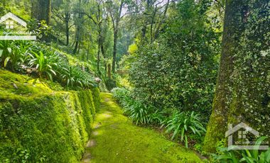 🌲 VENTA DE RESIDENCIA DE ENSUEÑO CON ENTORNO NATURAL EN MINERAL DEL CHICO.