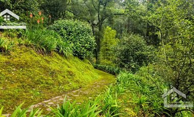 🌲 VENTA DE RESIDENCIA DE ENSUEÑO CON ENTORNO NATURAL EN MINERAL DEL CHICO.