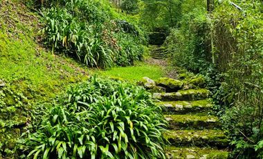 🌲 VENTA DE RESIDENCIA DE ENSUEÑO CON ENTORNO NATURAL EN MINERAL DEL CHICO.