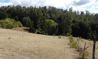 Hermosa parcela con casa
