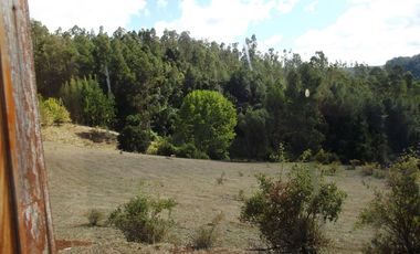 Hermosa parcela con casa