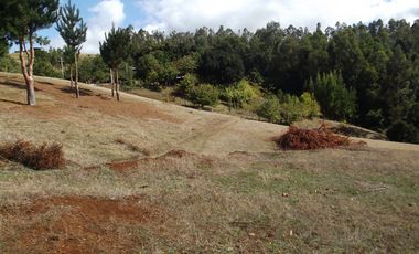 Hermosa parcela con casa