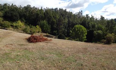 Hermosa parcela con casa