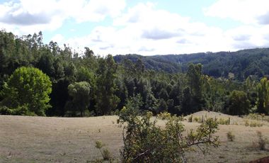 Hermosa parcela con casa