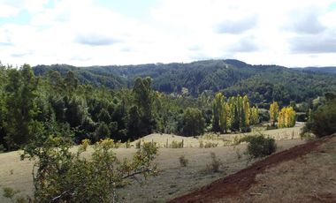 Hermosa parcela con casa