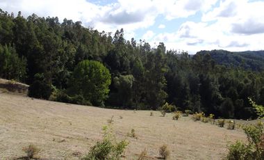 Hermosa parcela con casa